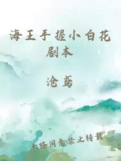 海王手握小白花剧本