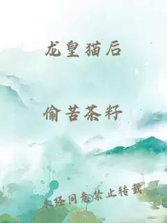 龙皇猫后