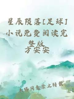 星辰陨落[足球]小说免费阅读完整版