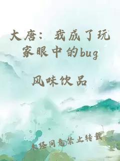 大唐：我成了玩家眼中的bug