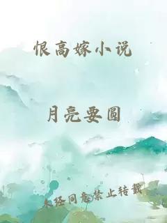 恨高嫁小说