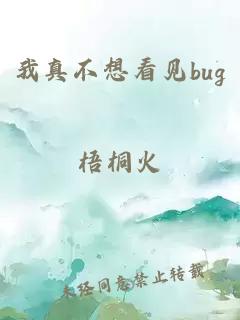 我真不想看见bug