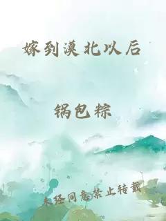 嫁到漠北以后