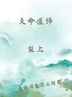 天命偃师