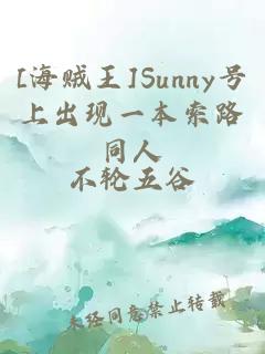 [海贼王]Sunny号上出现一本索路同人