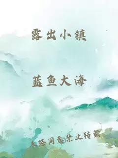 露出小镇