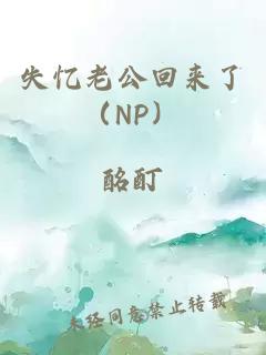 失忆老公回来了（NP）