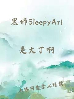 黑狮SleepyAri