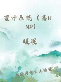 蜜汁系统（高H NP)