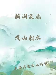 脑洞集成