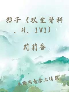 影子（双生骨科，H，1V1）