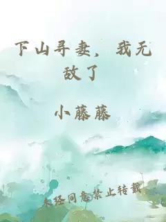 下山寻妻，我无敌了