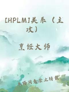 [HPLM]关系（主攻）