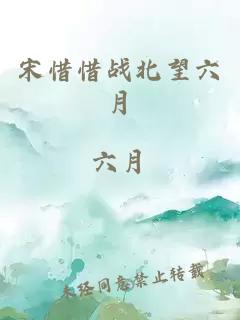 宋惜惜战北望六月