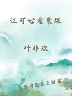 江可心霍景琛