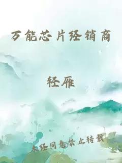 万能芯片经销商