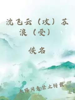 沈飞云（攻）苏浪（受）