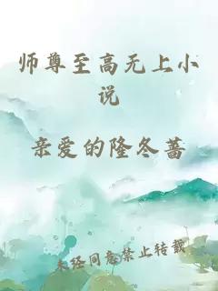 师尊至高无上小说