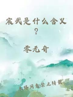 宸武是什么含义?