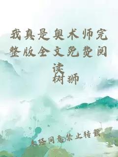 我真是奥术师完整版全文免费阅读